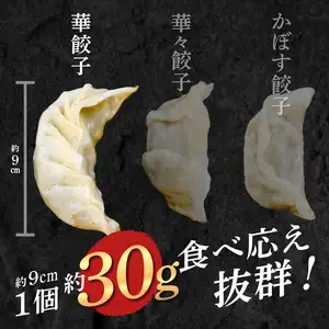 牛肉100％の餃子　華永の華餃子　10個入り2パック A07003