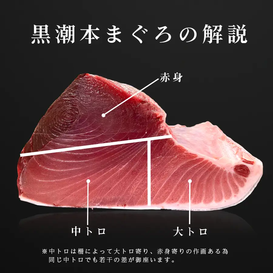【3回お届け】黒潮本マグロ トロ好きのためのトロセット!