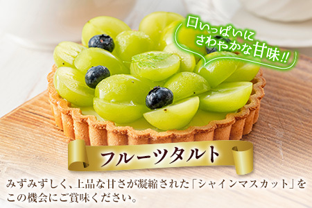 訳あり［不揃い・小粒］シャインマスカット 4パック 約1.3kg+100g補償付 ご家庭用 宮崎県新富町産 製菓用 先行予約 ※2026年8月下旬～【B638-26】
