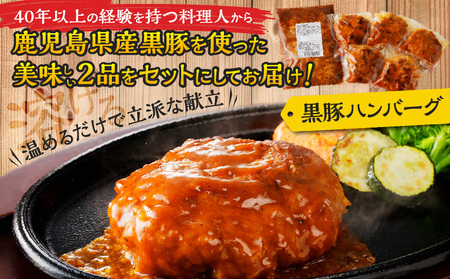鹿児島 黒豚重 ハンバーグ セット K252-001 肉 豚肉 惣菜 総菜 冷凍