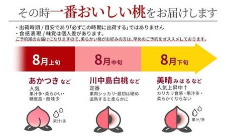 《先行予約 2026年度発送》山形県産 白桃 秀品 3kg もも モモ 桃 デザート フルーツ 果物 くだもの 果実 食品 山形県 FSY-2202