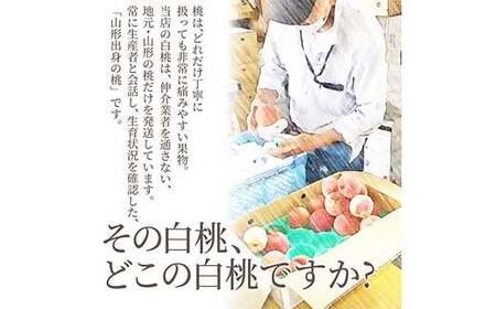 《2026年産 先行予約》山形県産 白桃 秀品 2kg（7玉前後） もも モモ 桃 デザート フルーツ 果物 くだもの 果実 食品 山形県 FSY-1243