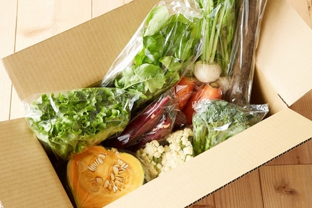 [定期便 3ヶ月ごと4回お届け] 柴海農園 旬の「まるごとやさい」セット (12種類前後) [0224]