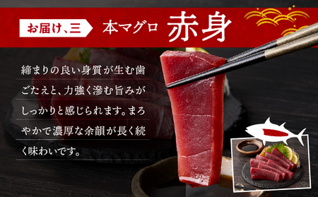 三崎マグロ 鈴木水産 天然本マグロ （ 大トロ ・ 中トロ 赤身 ） セット M105-002 冷凍 マグロ