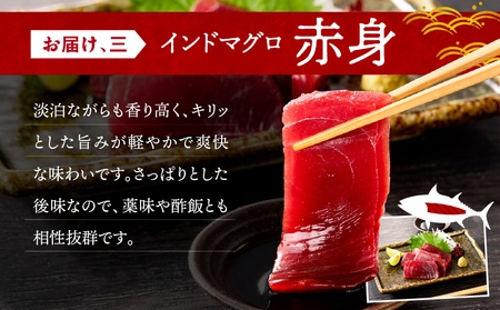三崎マグロ 鈴木水産 天然インドマグロ （ 大トロ ・ 中トロ 赤身 ） セット M105-001 冷凍 マグロ