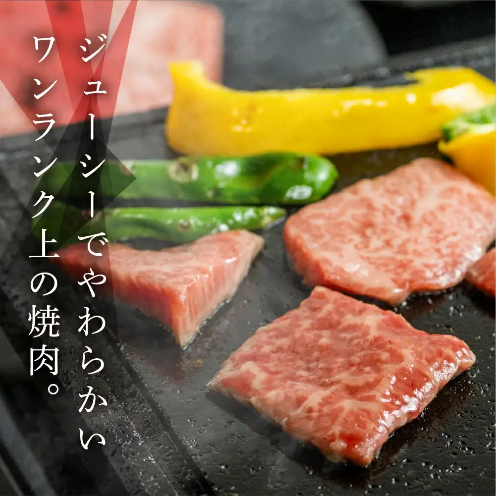 【定期便 4回】 飛騨牛 ＆ なっとく豚 定期便 4回 牛肉 / 豚肉 食べ比べ (焼肉 / すき焼き / しゃぶしゃぶ / 豚しゃぶ) 【tc1】
