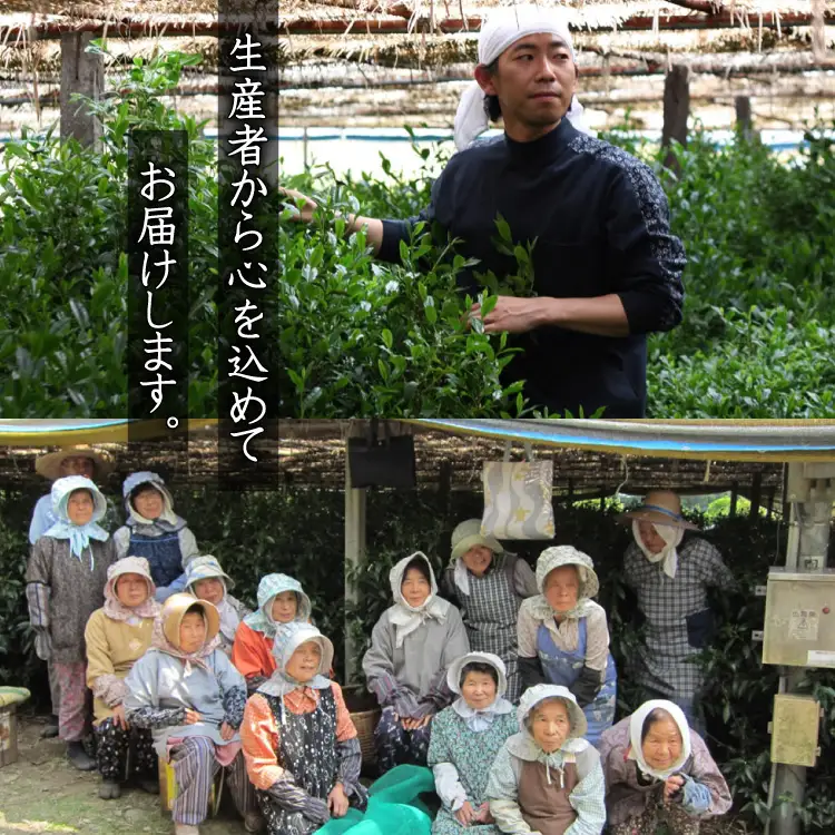 【八女茶】奥八女星野茶 高木茶園の深蒸し高級煎茶(深蒸し茶)100g×2袋 4A14