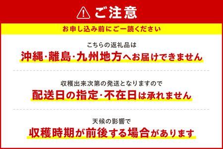【2026年7月中旬頃より発送】青果ブルーベリーおまかせ1種1kg（500g×2パック）＜アイケイファーム余市＞_Y111-0010