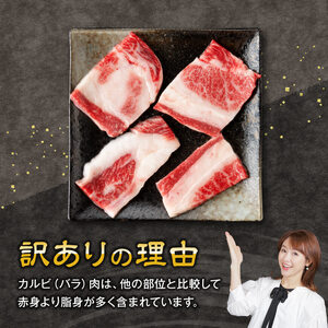 【令和8年6月発送】【訳あり】 宮崎牛 カルビ（ バラ ） 焼肉 500g 【 肉 牛肉 焼肉 BBQ 焼き肉 焼くだけ おかず 簡単調理 】