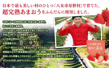 超完熟あまおう使用！太陽のいちごチーズパイ 5個入 134-003