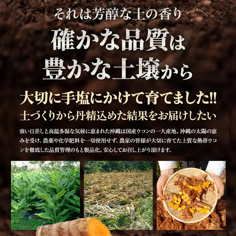 【金秀バイオ】沖縄県産 熱帯ウコン 90粒 3袋 セット 約90日分(約3ヶ月分)+ 春ウコン 粒900粒 2袋セット 約60日分(約2ヶ月分) サプリ サプリメント ウコン クルクミン ビタミンC ビタミン 国産ウコン 姜黄 キョウオウ 国産 沖縄県 糸満市