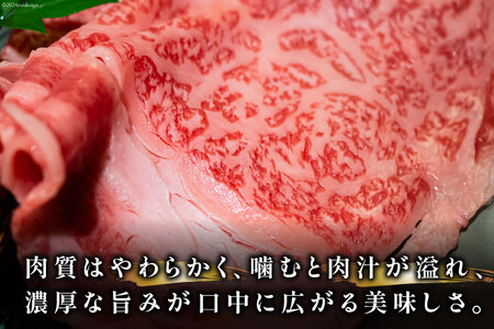 牛肉 【A4～A5】 博多和牛 サーロイン しゃぶしゃぶすき焼き用 300g×2p 計 600g [MEAT PLUS 福岡県 筑紫野市 21760755]