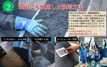 樹上完熟トマトジュース『大農』200ml×12本 完熟 桃太郎ファイト トマトのおいしさギュッと詰まったごくごく飲めるトマトジュース  糸魚川 あぐりいといがわ 糸魚川農業興舎