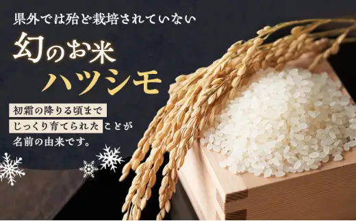 令和7年産 岐阜県産 ハツシモ 10kg お米