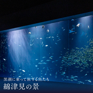 四国水族館ペアチケット