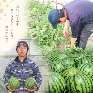 【 順次出荷中 ！】 小玉スイカ1玉 熊本和水町産 スイカ 小玉 | 熊本県 和水町 くまもと なごみまち すいか 西瓜 スイカ 小玉 1玉