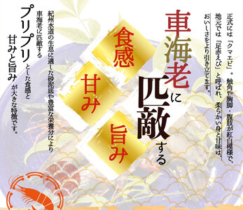 紀州和歌山産天然足赤えび約540g×2箱（約270g×4パック）　化粧箱入【2026年12月上旬頃〜2027年2月上旬頃に順次発送】【UT24】【Z91081-uot773A】