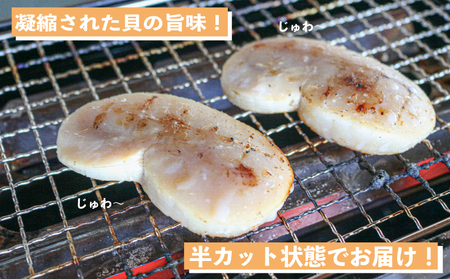 愛知県産平貝(タイラギ)ステーキ貝柱2個入　2パック 貝 魚 お魚 料理 タイラギ 貝柱 ステーキ 夕食 晩ごはん 海鮮 鮮魚 新鮮 南知多 愛知