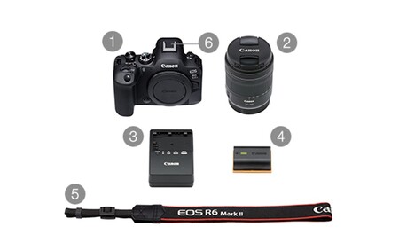 【Canon】キヤノン ミラーレス カメラ EOS R6 MarkⅡ RF24-105 IS STM レンズキット キャノン_0037C