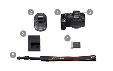 【Canon】 キヤノン ミラーレス カメラ EOS R8 RF24-50 IS STM レンズキット キャノン_0040C