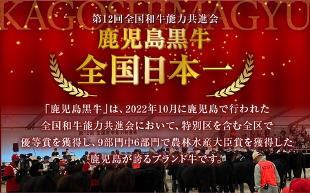 鹿児島黒牛 サーロイン ステーキ セット （計1.2kg） K127-011 肉 牛肉 冷凍