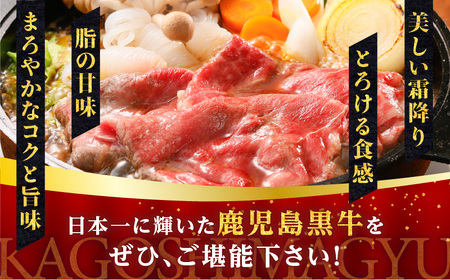 鹿児島黒牛 ウデ すきやき セット （計600g） K127-012 肉 牛肉 冷凍