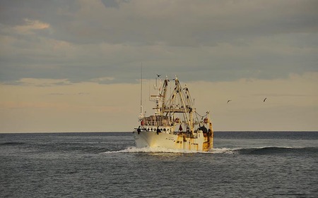 北海道 枝幸町 岩谷さん家の船の 肉厚 ホッケ フライ (1kg) 【 加工食品 白身フライ おかず 惣菜 お弁当 時短 揚げ物 夕飯 魚料理 北海道 オホーツク 枝幸 】