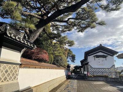 【角田市郷土資料館】角田石川家に嫁いだ伊達政宗の次女『牟宇姫への手紙2　伊達政宗ほか男性編』