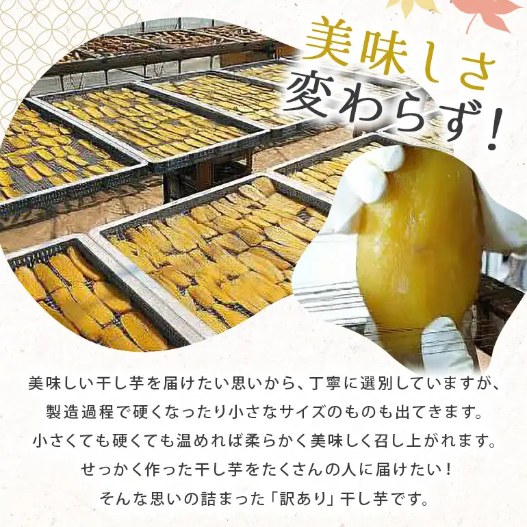 2026年12月発送【 訳あり 】 先行予約 干し芋工房 風と太陽の干し芋（ べにはるか ）1kg しっとり甘い 干し芋 紅はるか 茨城 干しいも ほしいも ほし芋 おいも いも 芋 茨城県産 国産 無添加 和菓子 お菓子 おやつ スイーツ お取り寄せ さつまいも