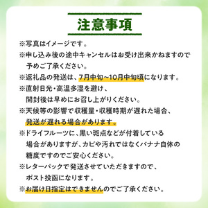 【先行受付】島バナナ農家が本気で作る完全自然栽培の島バナナドライフルーツ30g×3袋（7月中旬～10月中旬頃発送） W029-011u バナナ 加工品