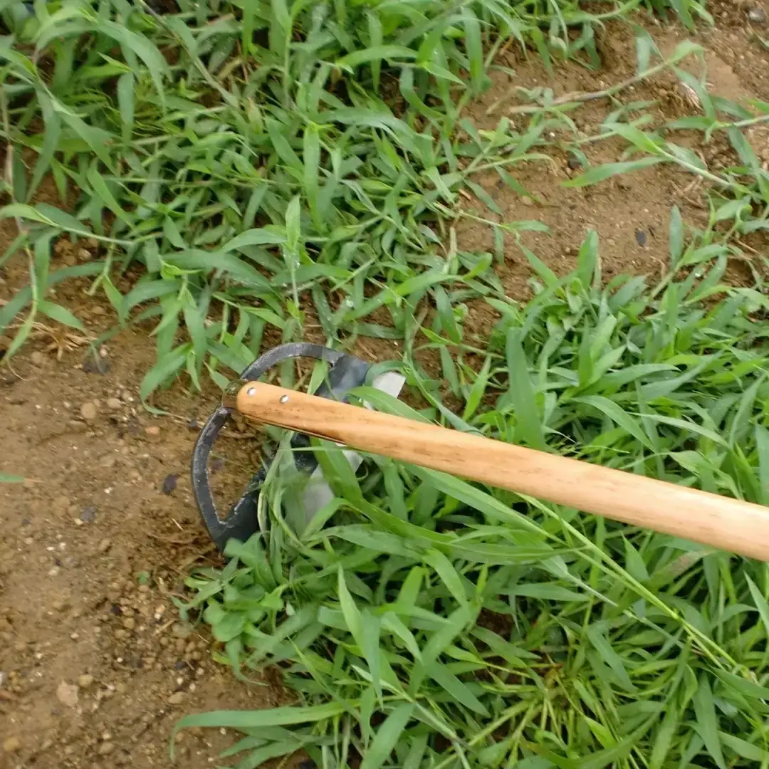 草削り立鎌210mm 刃先カバー付 草刈り 除草道具 園芸用品 燕三条製 [相田合同工場] 【022S055】