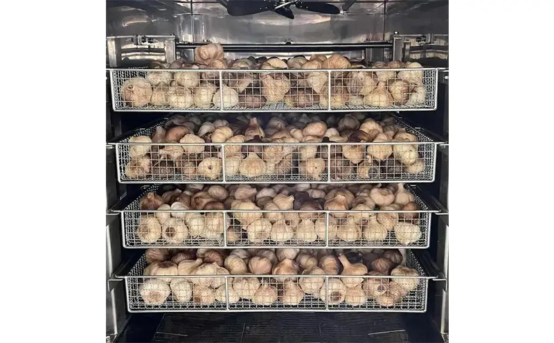 黒にんにく 100g×3パック セット (2) にんにく 加工品 118002