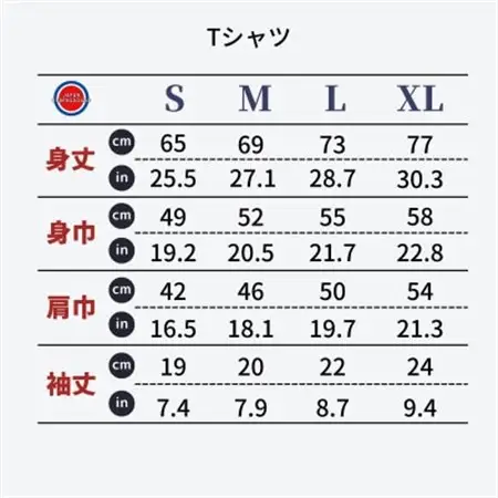 岡崎市 マンホールTシャツ 黒 Sサイズ【1473522】