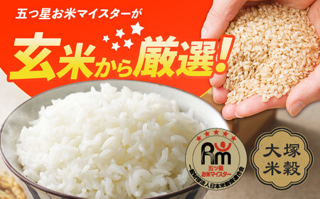 佐賀県産米 さがびより無洗米 6kg 無洗米 米 お米 ブランド米 国産米[FCW026]