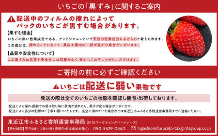 いちご （みおしずく） １箱（２パック入り） 株式会社東近江あぐりステーション 滋賀県 東近江市 O-F03 いちご イチゴ みおしずく 2パック フルーツ 産地直送 ギフト
