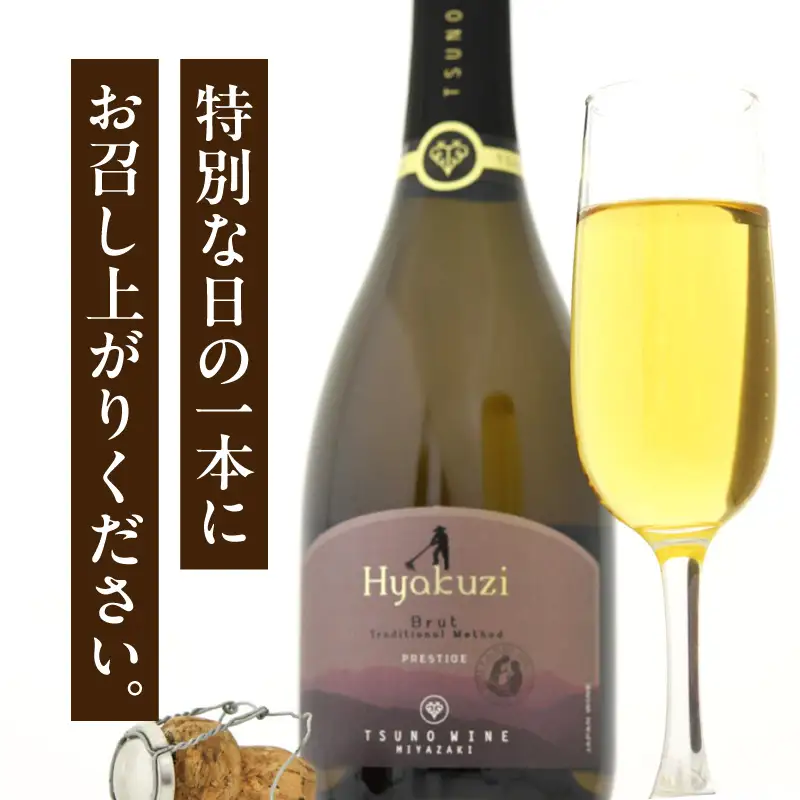 【数量限定】Hyakuzi ブリュット トラディショナル メソッド(計1本) 酒 飲料 アルコール 国産_T014-0085