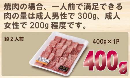 佐賀牛 焼肉 400g B120-031 焼肉 牛肉 厳選部位