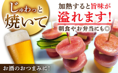 【12回定期便】宮地ハムのロングセラー ボロニアソーセージ 100g×6本 /宮地ハム [UBM013] ソーセージ