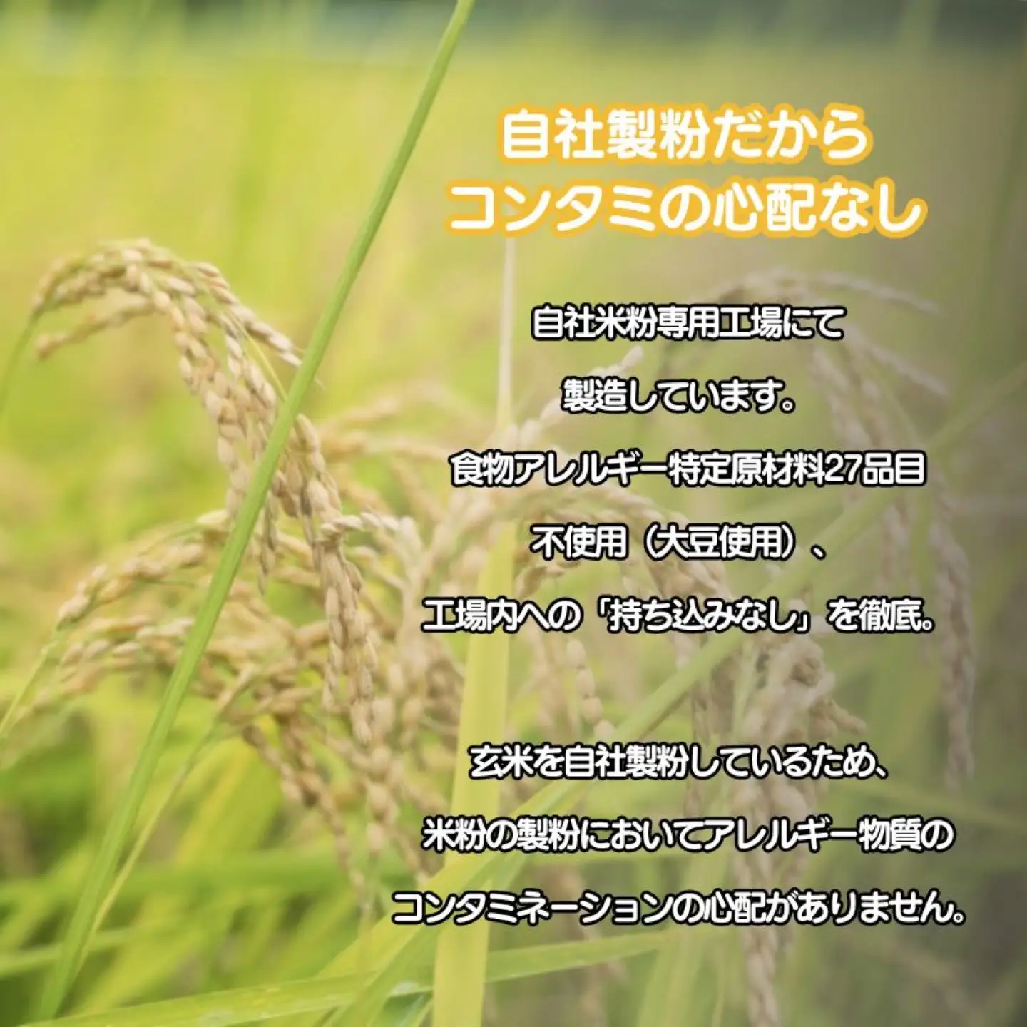 お米100％でつくった　野菜入りミニカップケーキセット