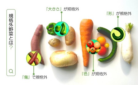 【シーサイドグロサリー】淡路島産規格外野菜ボックス・Mサイズ（2～3人向け）