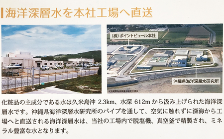 【ポイントピュール】Botanicalシリーズ　月桃ジェル2本セット ボタニカル 大容量 