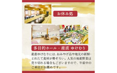「おくのほそ道」赤倉ゆけむり館　入浴回数券　【大人11回券】