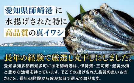 いわし 丸干し 48尾 (8尾×6パック) 干物 冷凍 小分け 愛知県 南知多町 ご飯 ごはん おかず おつまみ 魚 イワシ 国産