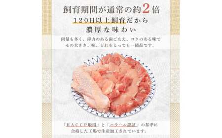 FKK19-201_天草大王 一羽セット（総重量2.5キロ） 熊本県 嘉島町
