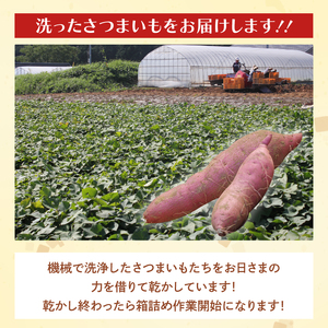 茨城県産 紅はるか 訳あり サイズミックス　約5kg｜訳あり わけあり 訳アリ さつまいも サツマイモ さつま芋 紅はるか べにはるか 芋 いも 茨城県産 行方市(FU-1)