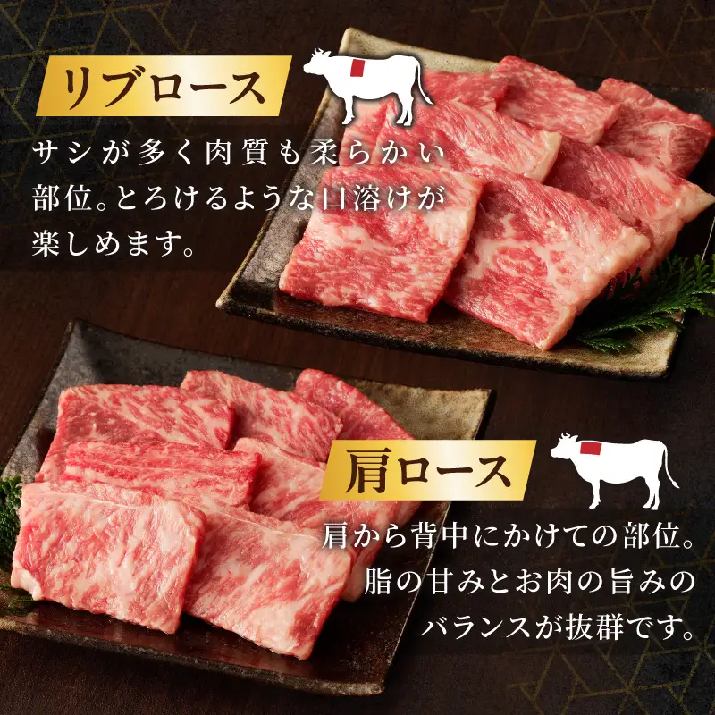 生産者応援≪訳あり≫黒毛和牛(経産牛)6種焼肉セット(合計300g) 肉 牛 牛肉 おかず 国産_T030-1195