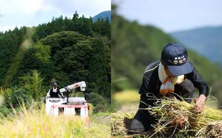 【3ヶ月定期便】さとうファームの自然栽培米 白米 5kg×3回 計15kg ミルキークイーン