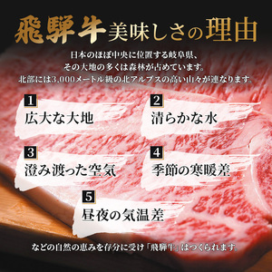 飛騨牛もも肉　スライス　400ｇ入り 牛肉 お肉 国産 黒毛和種 柔らかい とろける ジューシー 霜降り 細かいサシ 食材 食卓 グルメ 