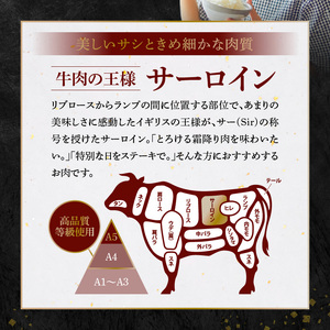 S001-022-T06_【定期便6回】A4～A5等級 黒毛和牛 サーロインステーキ 1枚（300g）たれ1本付
