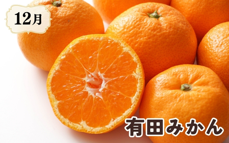 柿とみかん【魚鶴商店厳選】和歌山人気のフルーツ定期便（柿・みかん）【定期便全3回】【UT115】【Z91060-tkb】